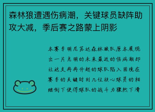 森林狼遭遇伤病潮，关键球员缺阵助攻大减，季后赛之路蒙上阴影